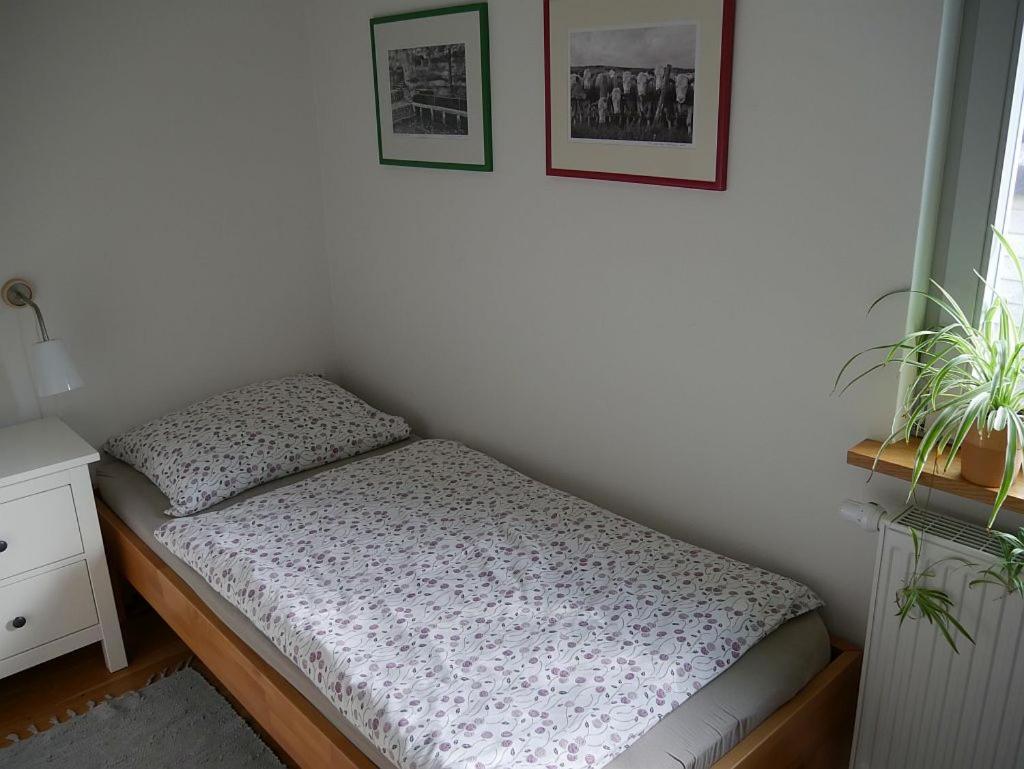 Irreler Muehle Ferienwohnungen Und Ferienhaeuser Bagian luar foto
